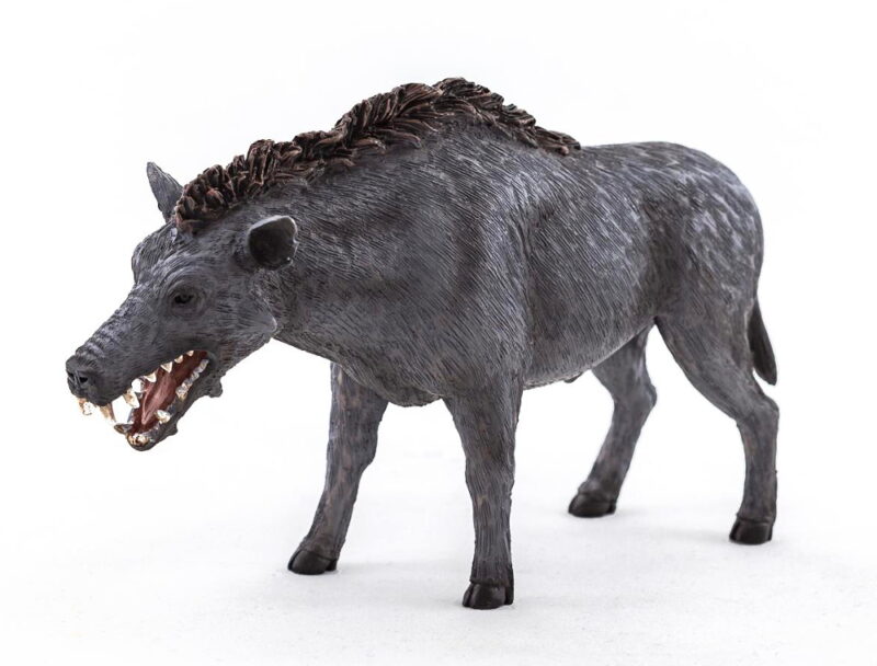 Daeodon, Entelodont Spielzeug Figur von Mojo Fun