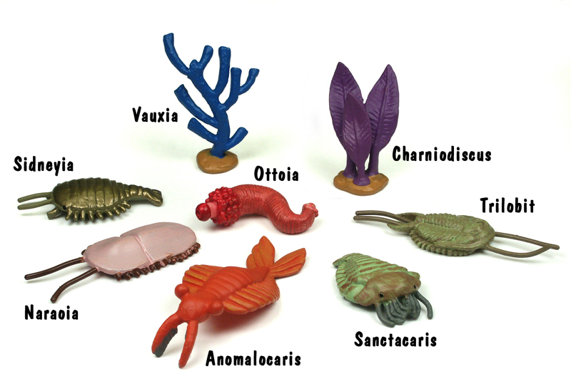 Lebewesen des Kambrium, Röhre von Safari Ltd.