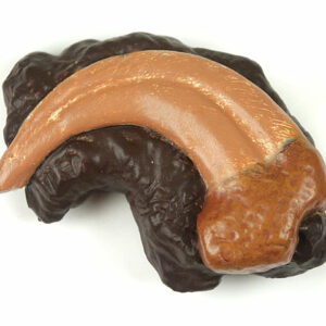 Velociraptor Klaue, Mini-Fossil Figur von Safari Ltd.