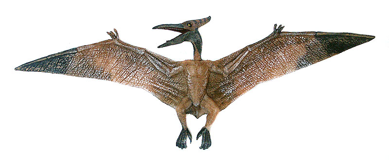 Pteranodon, Flugsaurier Figur von Papo